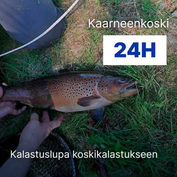 Kalastuslupa koskikalastukseen kaarneenkoski 24h