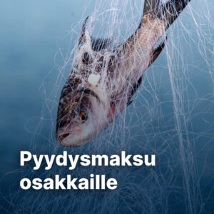 Pyydysmaksu osakkaille